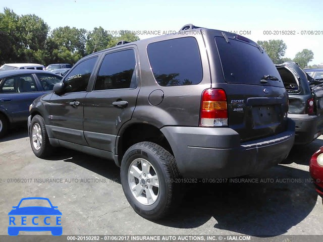 2007 Ford Escape 1FMYU03Z77KB17800 image 2