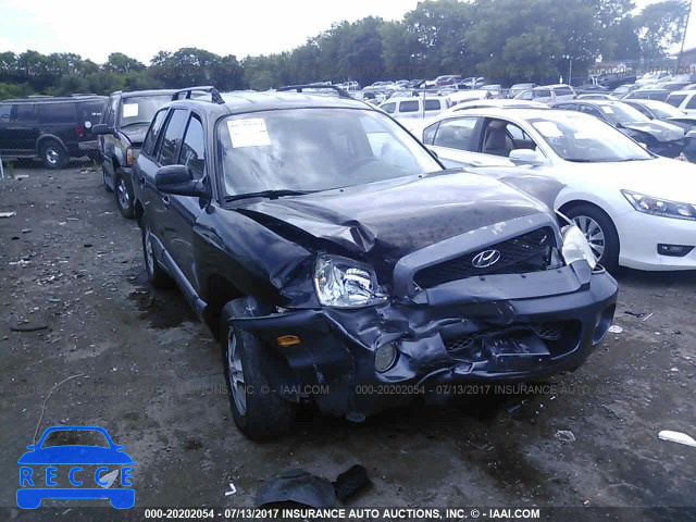 2002 Hyundai Santa Fe GLS/LX KM8SC13D82U195356 image 5