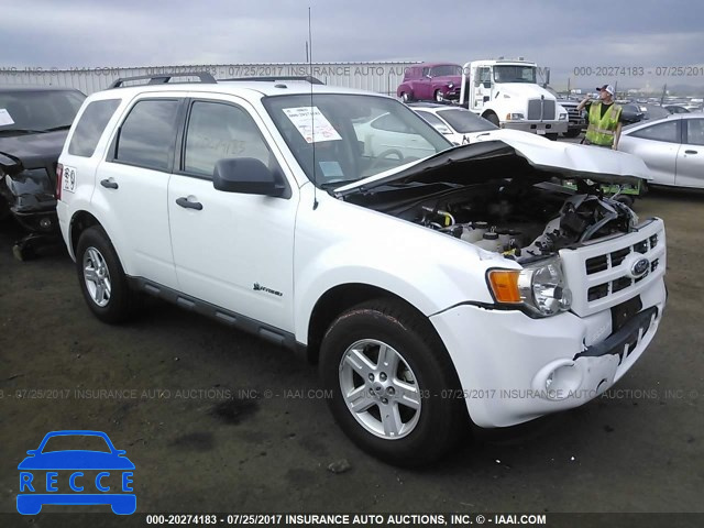 2010 Ford Escape 1FMCU5K33AKD07170 зображення 0