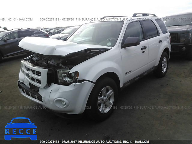 2010 Ford Escape 1FMCU5K33AKD07170 зображення 1