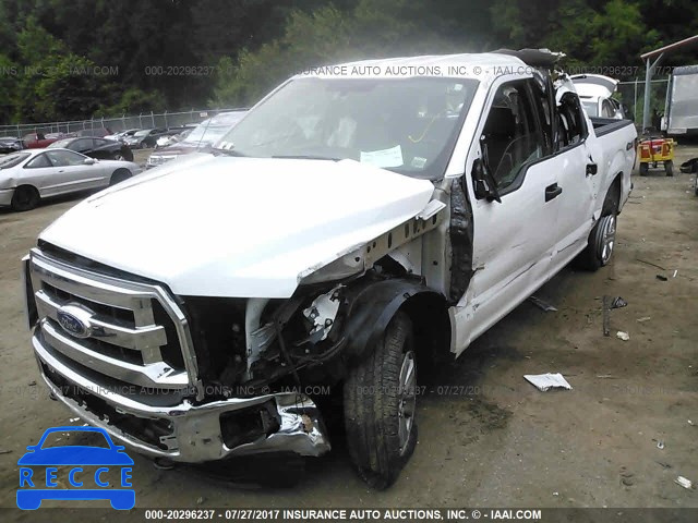 2015 Ford F150 1FTEW1EF8FKD44583 Bild 1