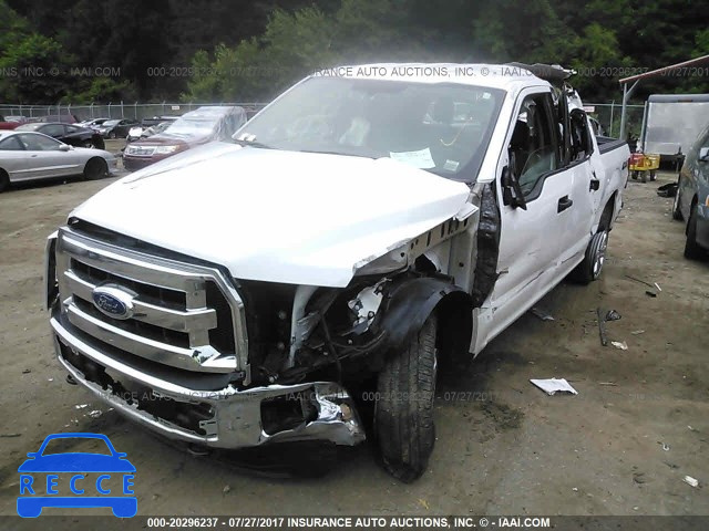 2015 Ford F150 1FTEW1EF8FKD44583 Bild 5