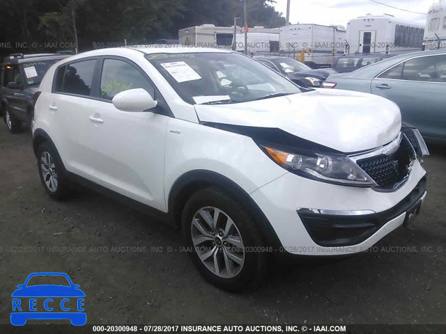 2016 KIA Sportage KNDPBCAC7G7853693 image 0