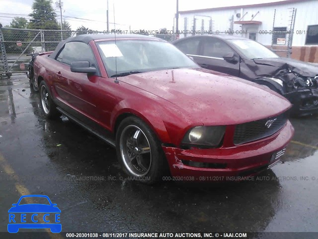 2008 Ford Mustang 1ZVHT84N985194036 image 0