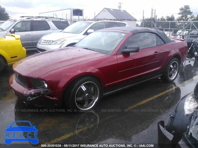 2008 Ford Mustang 1ZVHT84N985194036 image 1