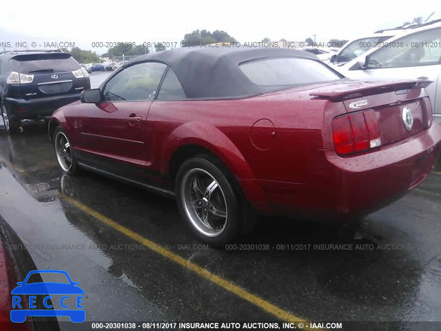 2008 Ford Mustang 1ZVHT84N985194036 image 2