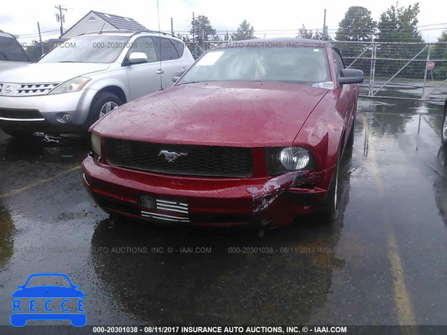 2008 Ford Mustang 1ZVHT84N985194036 image 5