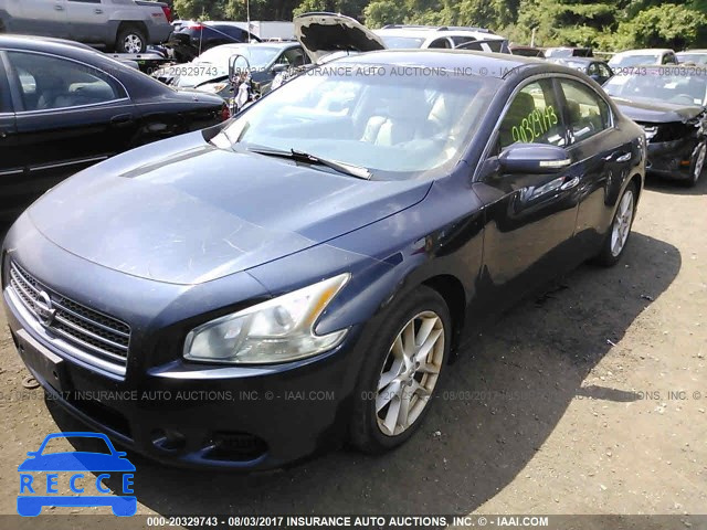 2009 Nissan Maxima S/SV 1N4AA51E09C845571 image 1