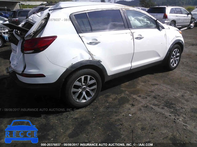 2014 KIA Sportage LX KNDPB3AC8E7664709 image 3