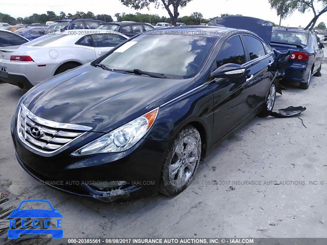 2011 Hyundai Sonata 5NPEC4AC0BH274866 зображення 1