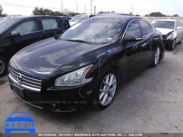 2009 Nissan Maxima 1N4AA51E19C808853 image 1