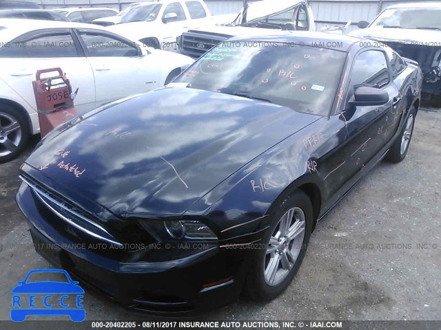2013 FORD MUSTANG 1ZVBP8AM5D5213343 image 1