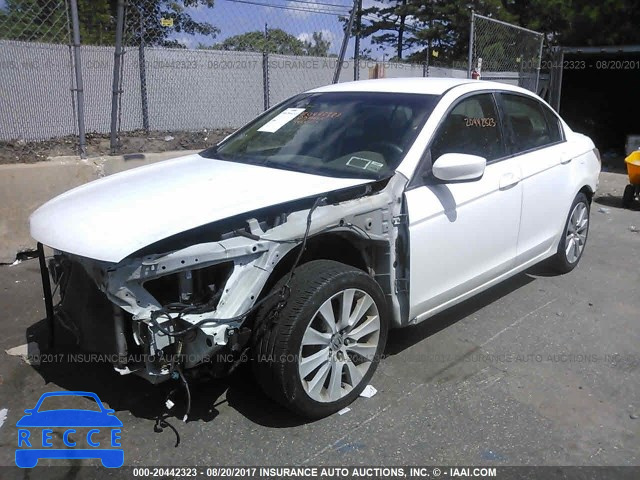 2009 HONDA ACCORD 1HGCP264X9A084545 image 1
