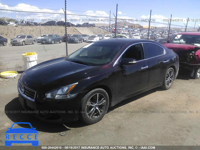 2013 Nissan Maxima S/SV 1N4AA5AP3DC812705 image 1