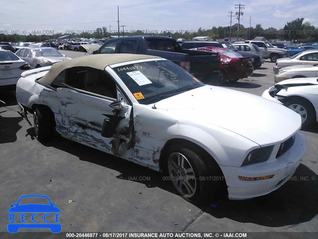 2006 Ford Mustang 1ZVHT85H465176906 image 0
