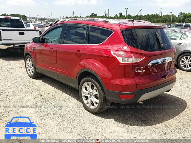 2016 Ford Escape 1FMCU0J96GUB30524 image 2