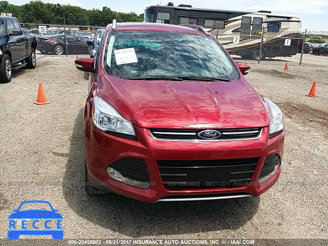 2016 Ford Escape 1FMCU0J96GUB30524 image 5