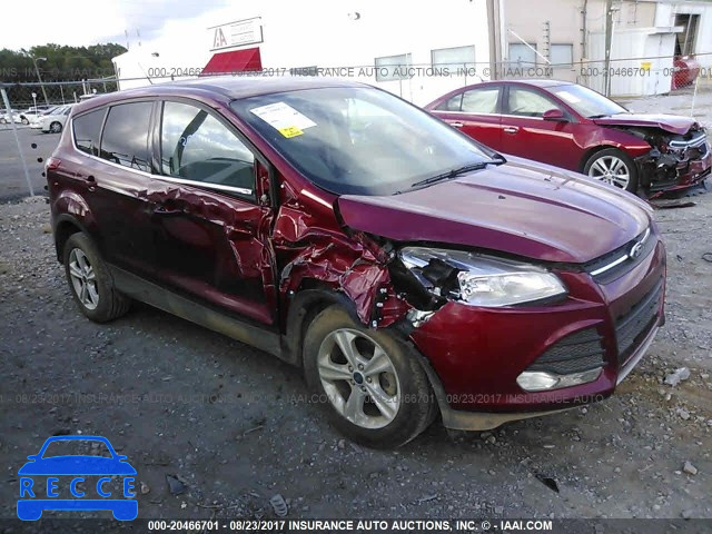 2014 Ford Escape 1FMCU0GX6EUA34895 зображення 0