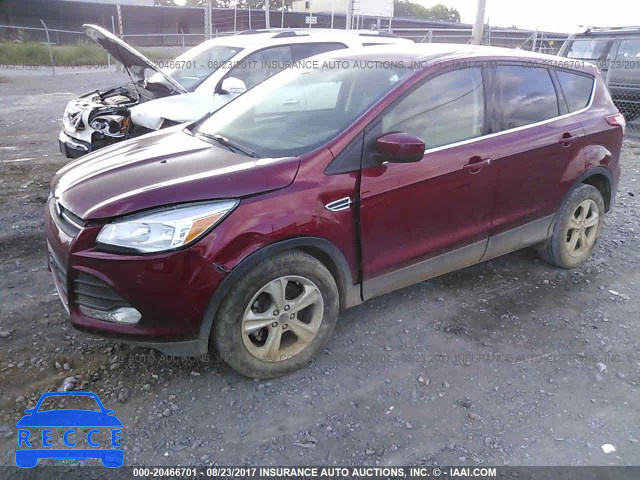 2014 Ford Escape 1FMCU0GX6EUA34895 зображення 1