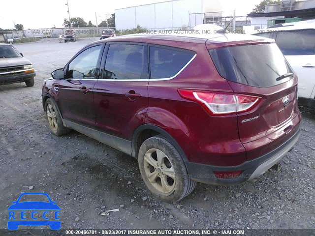 2014 Ford Escape 1FMCU0GX6EUA34895 зображення 2