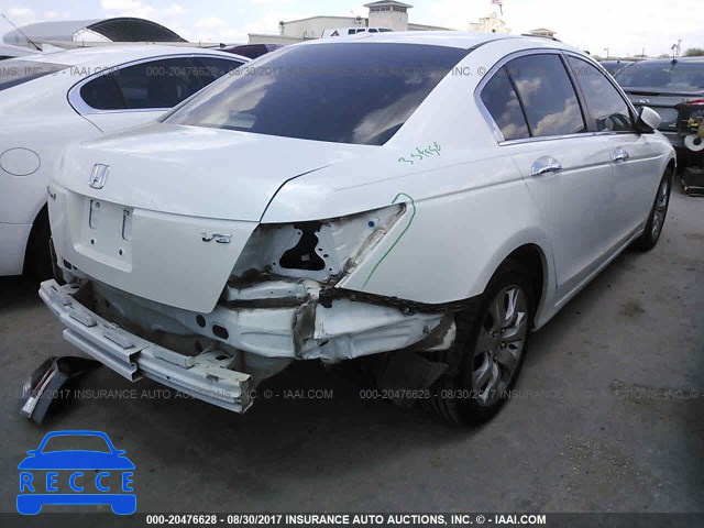 2010 Honda Accord 5KBCP3F83AB010825 зображення 3