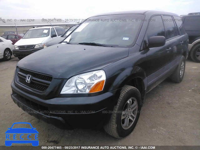 2005 Honda Pilot 2HKYF18195H553728 image 1