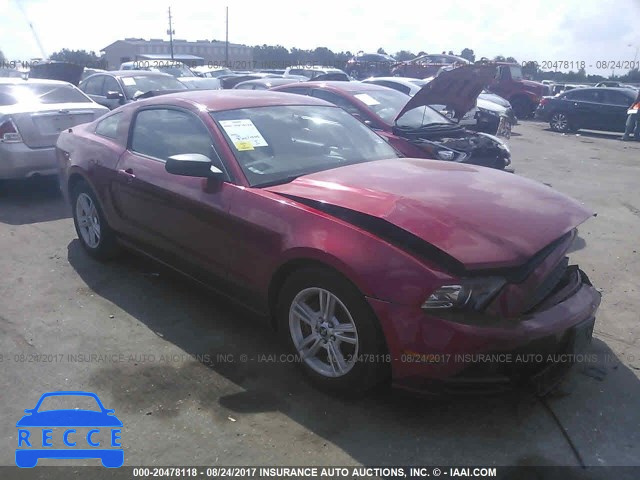2013 Ford Mustang 1ZVBP8AM0D5269187 image 0