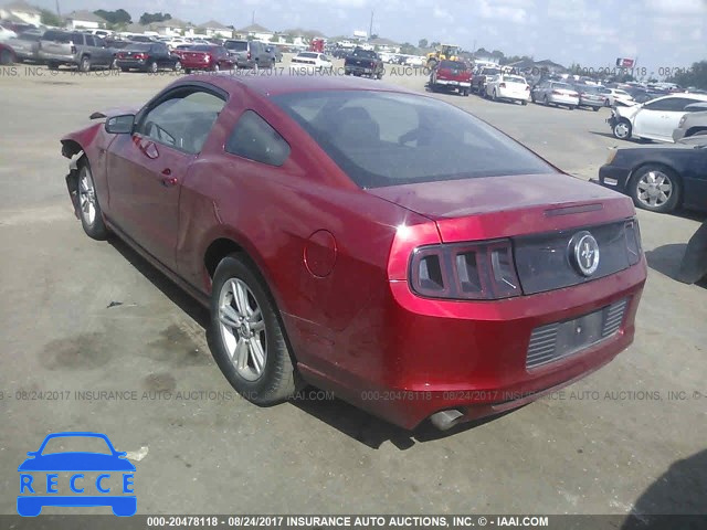 2013 Ford Mustang 1ZVBP8AM0D5269187 image 2