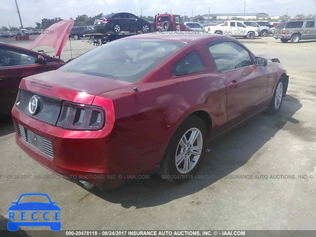 2013 Ford Mustang 1ZVBP8AM0D5269187 image 3
