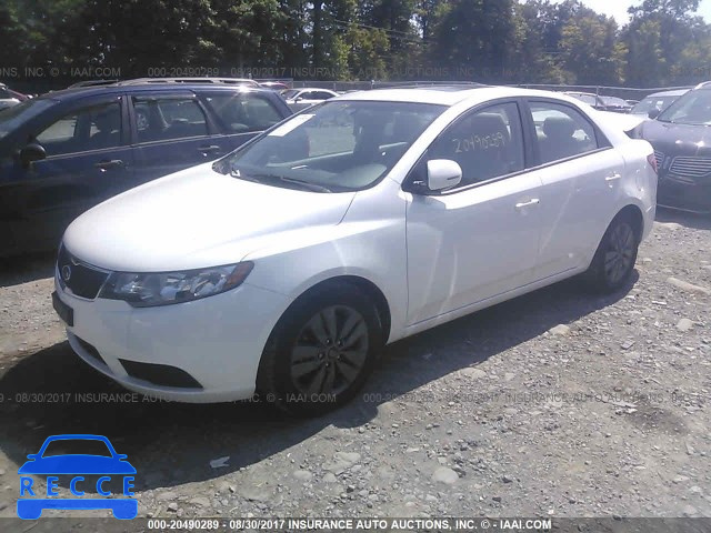 2013 KIA Forte KNAFU4A26D5709091 image 1