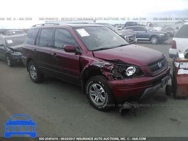 2005 Honda Pilot 2HKYF18505H517767 image 0