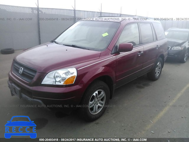 2005 Honda Pilot 2HKYF18505H517767 image 1