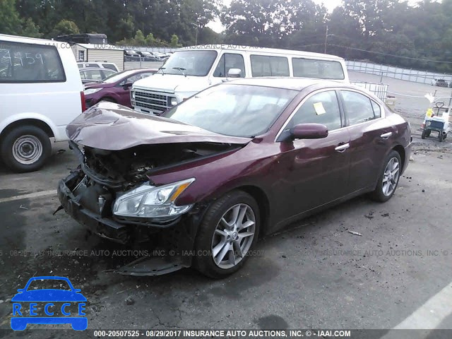 2013 Nissan Maxima 1N4AA5AP8DC835817 image 1