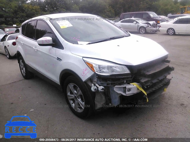 2014 Ford Escape 1FMCU0GX4EUD00592 image 0