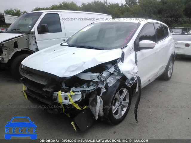 2014 Ford Escape 1FMCU0GX4EUD00592 image 1