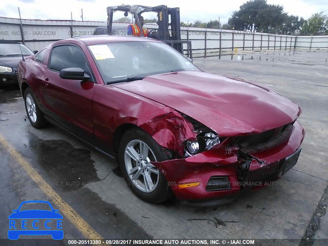 2012 Ford Mustang 1ZVBP8AM5C5261987 Bild 0