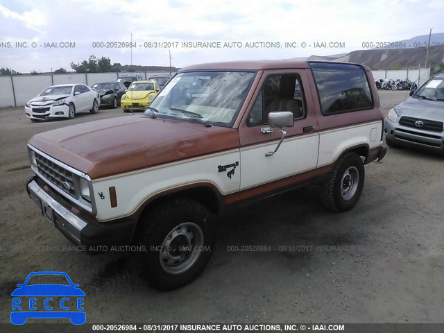 1984 Ford Bronco Ii 1FMCU14S4EUA62533 Bild 1