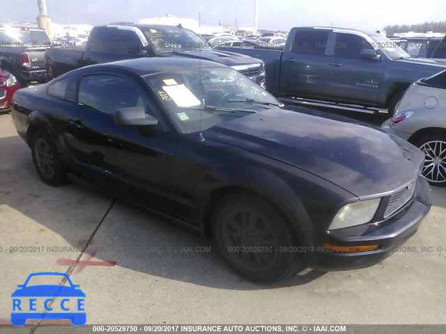 2005 Ford Mustang 1ZVFT80N655149810 image 0