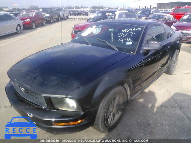 2005 Ford Mustang 1ZVFT80N655149810 image 1