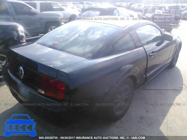2005 Ford Mustang 1ZVFT80N655149810 image 3