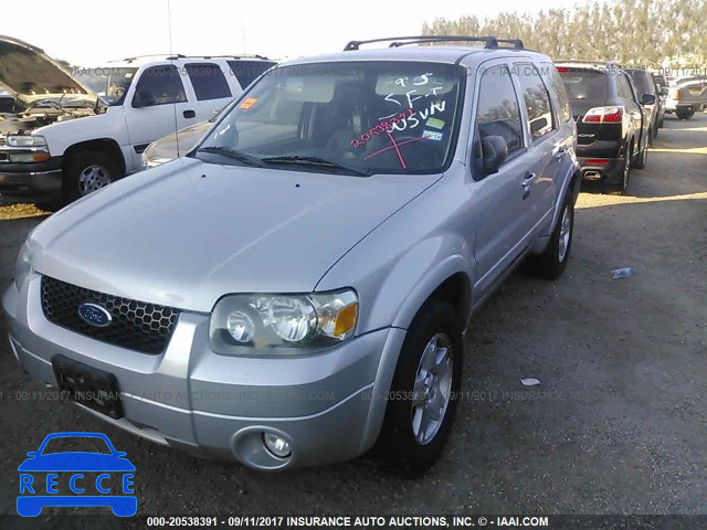 2007 Ford Escape 1FMYU04197KB59295 image 1