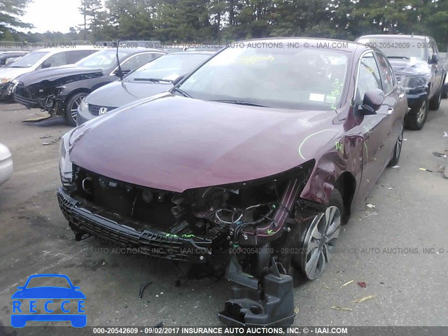 2015 Honda Accord 1HGCR2F37FA215881 image 5