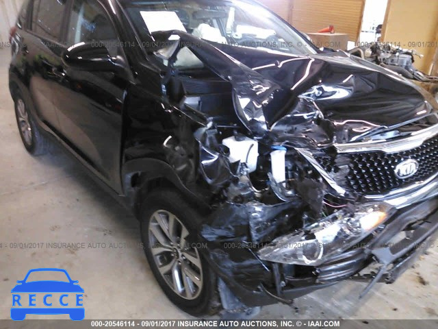 2016 KIA Sportage KNDPB3AC8G7862340 image 5