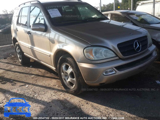 2002 MERCEDES-BENZ ML 320 4JGAB54E52A315323 зображення 0