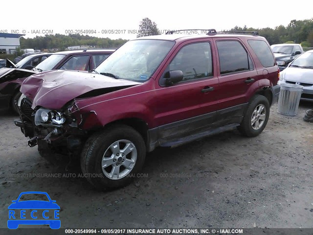 2005 FORD ESCAPE 1FMYU93175KA01766 image 1