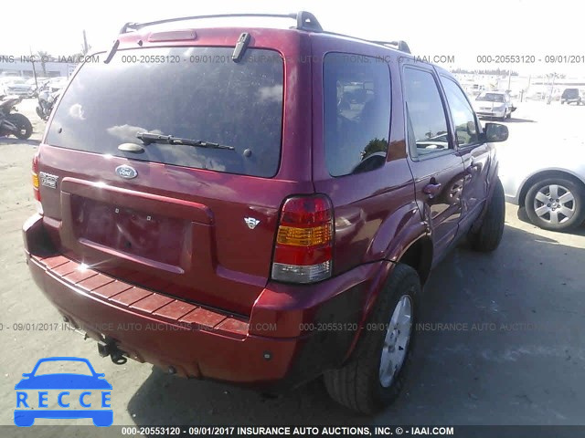 2007 Ford Escape 1FMYU04107KB90516 Bild 3