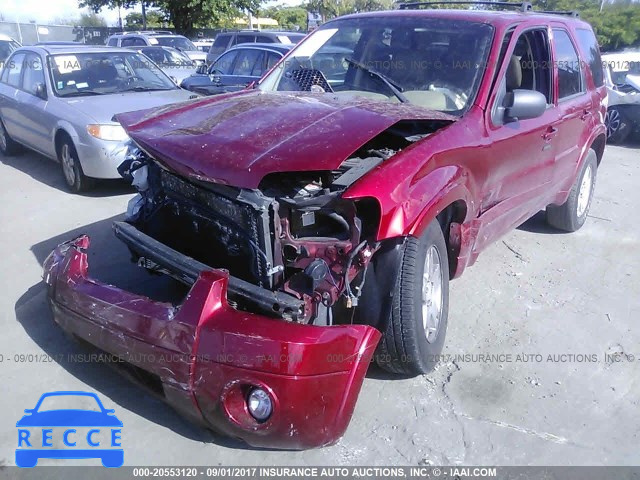 2007 Ford Escape 1FMYU04107KB90516 image 5