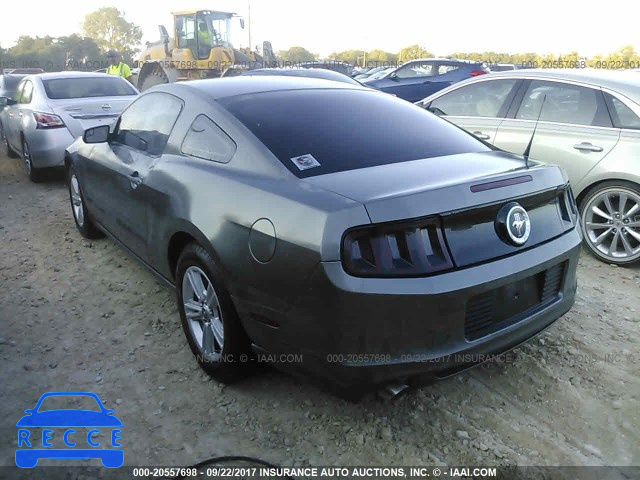 2013 Ford Mustang 1ZVBP8AM3D5218654 image 2