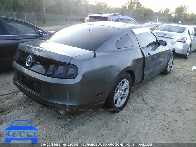 2013 Ford Mustang 1ZVBP8AM3D5218654 image 3