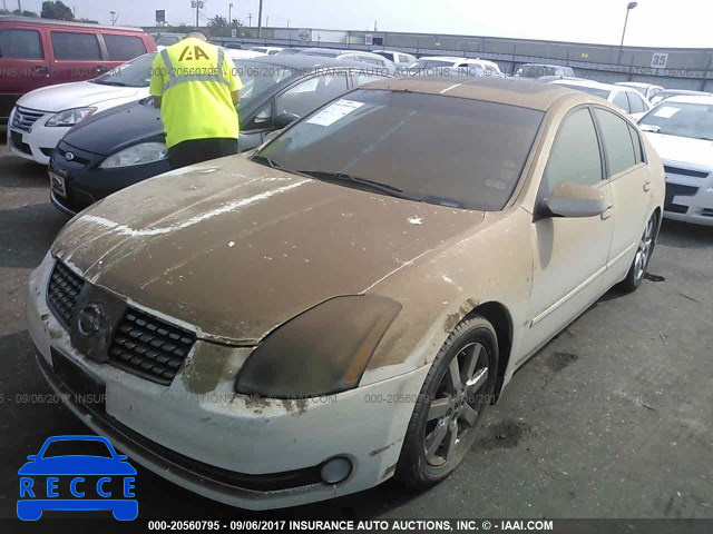 2005 Nissan Maxima 1N4BA41E65C823521 Bild 1